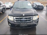 Ford Escape Xlt 1FMCU9D7XAKB18149 снимка