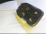 Miniaturka zdjęcia 11