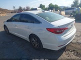 Hyundai Sonata Se 5NPE24AF0GH316764 снимка
