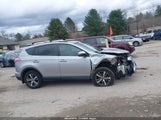 Toyota Rav4 Xle 2T3RFREV9JW801523 снимка