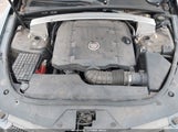 Cadillac Cts Premium 1G6DS1ED3B0115713 снимка