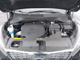 Kia Sorento 3.3L Ex 5XYPHDA53LG673517 fotografie