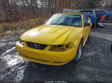 Ford Mustang 1FAFP44634F146445 fotografie