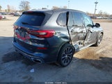 BMW X5 xDrive50I 5UXJU2C51KLN65546 fotografie