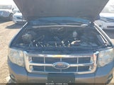 Ford Escape Xlt 1FMCU03719KA14044 снимка