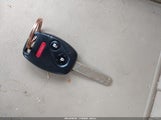 Miniaturka zdjęcia 11