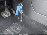 Miniaturka zdjęcia 11