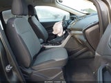 Miniaturka zdjęcia 5