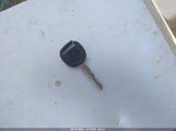 Miniaturka zdjęcia 11