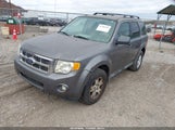 Ford Escape Xlt 1FMCU9DG6BKA14999 снимка