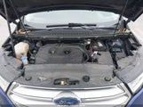 Miniaturka zdjęcia 10