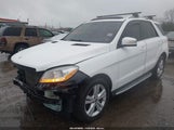 Mercedes-Benz Ml 350 4Matic 4JGDA5HB3EA302803 снимка