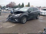 Miniaturka zdjęcia 2