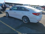 Hyundai Sonata Eco 5NPE24AA6FH161656 снимка