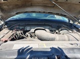 Ford F-150 Lariat/Xl/Xlt 2FTRX08W83CA51965 photo