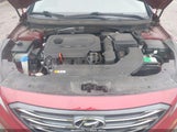 Hyundai Sonata Sport 5NPE34AF3FH106672 fotografie