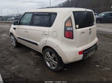 Miniaturka zdjęcia 3