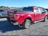 Ford F-150 Xlt 1FTFW1EF1EKD05515 снимка