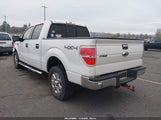Ford F-150 Xlt 1FTFW1ETXEFB70095 снимка