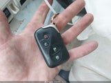 Miniaturka zdjęcia 11