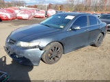 Acura Tsx JH4CL96876C003831 снимка