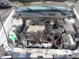 Chevrolet Malibu 1G1ND52J63M531982 снимка