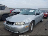 Chevrolet Malibu 1G1ND52J63M531982 снимка