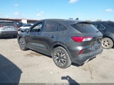 Ford Escape Se Sport Hybrid 1FMCU0BZ8LUC47384 fotografie