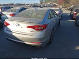 Hyundai Sonata Sport 5NPE34AF3HH569950 fotografie