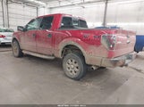 Ford F-150 Fx4/Harley-Davidson/King Ranch/Lariat/Platinum/Xl/Xlt 1FTFW1EV7AFB18239 fotografie