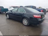 Toyota Camry Xle V6 JTNBK46K373020069 снимка