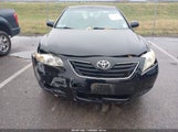 Toyota Camry Xle V6 JTNBK46K373020069 photo