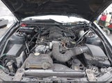 Ford Mustang V6/V6 Premium 1ZVHT84N095112938 photo