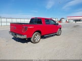 Ford F-150 Fx4/King Ranch/Lariat/Platinum/Xl/Xlt 1FTPW14V89FA40684 fotografie