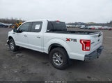 Ford F-150 Xlt 1FTEW1EF0HFA54981 снимка