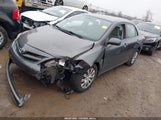 Toyota Corolla Le 5YFBU4EE9CP014711 fotografie
