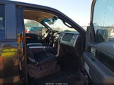 Ford F-150 Fx4/Harley-Davidson/King Ranch/Lariat/Platinum/Xl/Xlt 1FTFW1EV0AFC49061 снимка