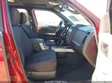 Ford Escape Xlt 1FMCU9DG9BKB12795 снимка