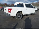 Ford F-150 Xlt 1FTEW1EG8JFA45329 снимка