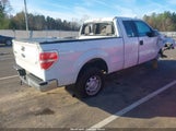 Ford F-150 Fx2 Sport/Stx/Xl/Xlt 1FTEX1C8XAFD05139 снимка
