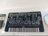 Miniaturka zdjęcia 9