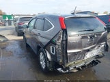 Miniaturka zdjęcia 3