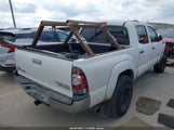Toyota Tacoma Prerunner V6 3TMJU62N19M077233 photo