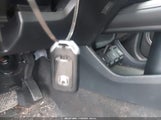Miniaturka zdjęcia 11