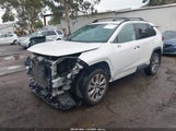 Toyota Rav4 Xle Premium 2T3C1RFV9NW189901 fotografie