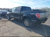 Ford F-150 Platinum 1FTFW1EF8DFA67511 снимка