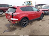 Miniaturka zdjęcia 4