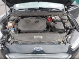 Miniaturka zdjęcia 10