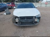 Audi A3 1.8T Premium WAU6CLFF5F1143931 снимка