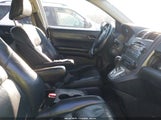 Honda Cr-V Ex-L 5J6RE48747L000569 fotografie